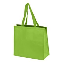 תיק קניות, צידנית – סניק ירוק